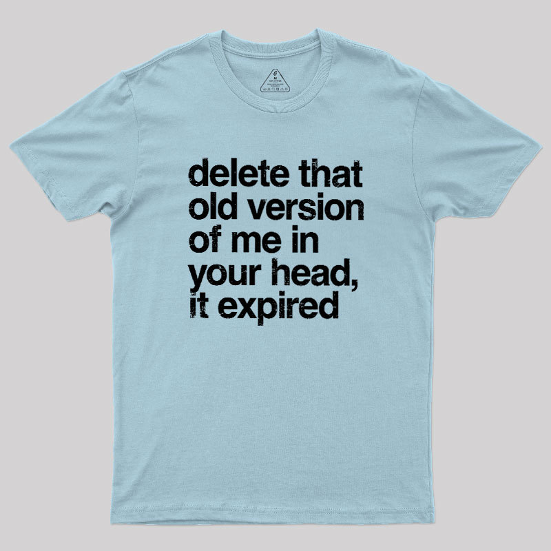 Delete That Old Version Geek T-Shirt