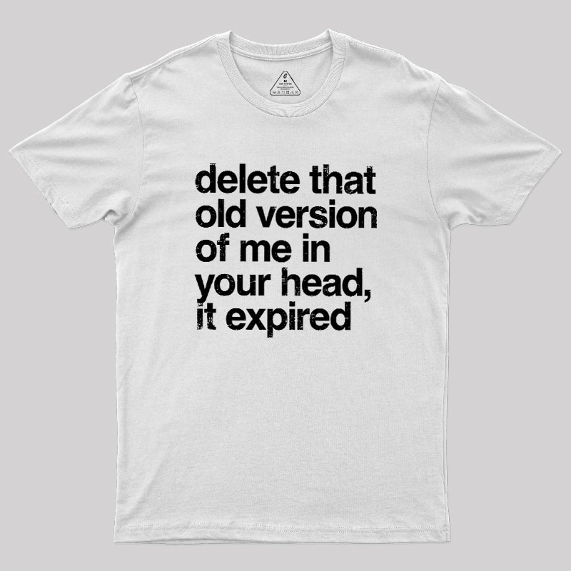Delete That Old Version Geek T-Shirt