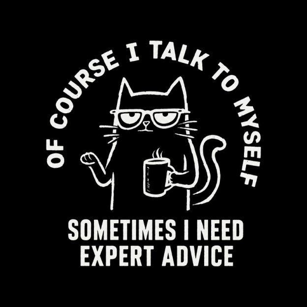 Talk To Myself Cat Geek T-Shirt