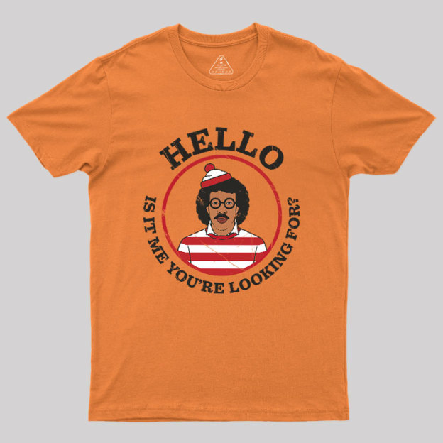 Hello,Is It Me You're Looking For Mashup Geek T-Shirt