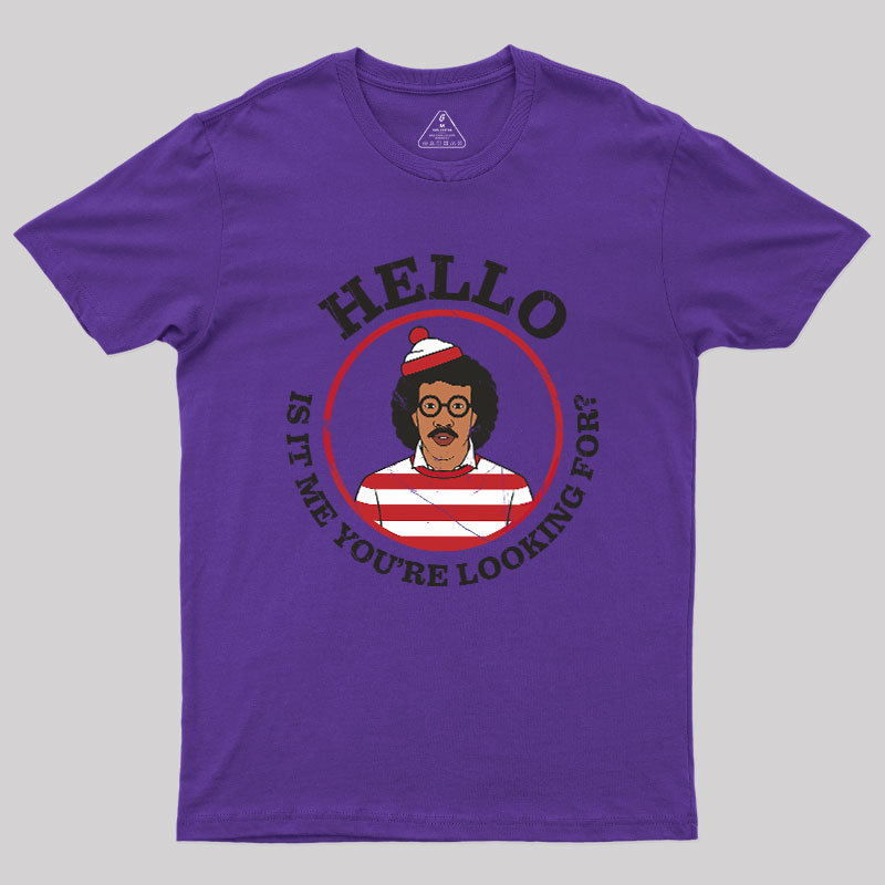 Hello,Is It Me You're Looking For Mashup Geek T-Shirt