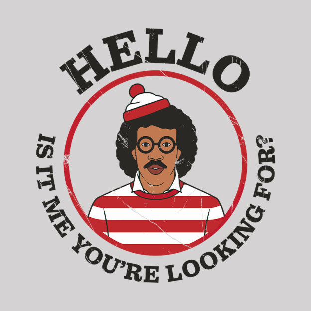 Hello,Is It Me You're Looking For Mashup Geek T-Shirt