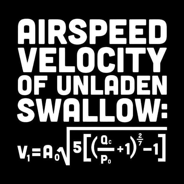 Airspeed Velocity Of Unladen Swallow Geek T-Shirt