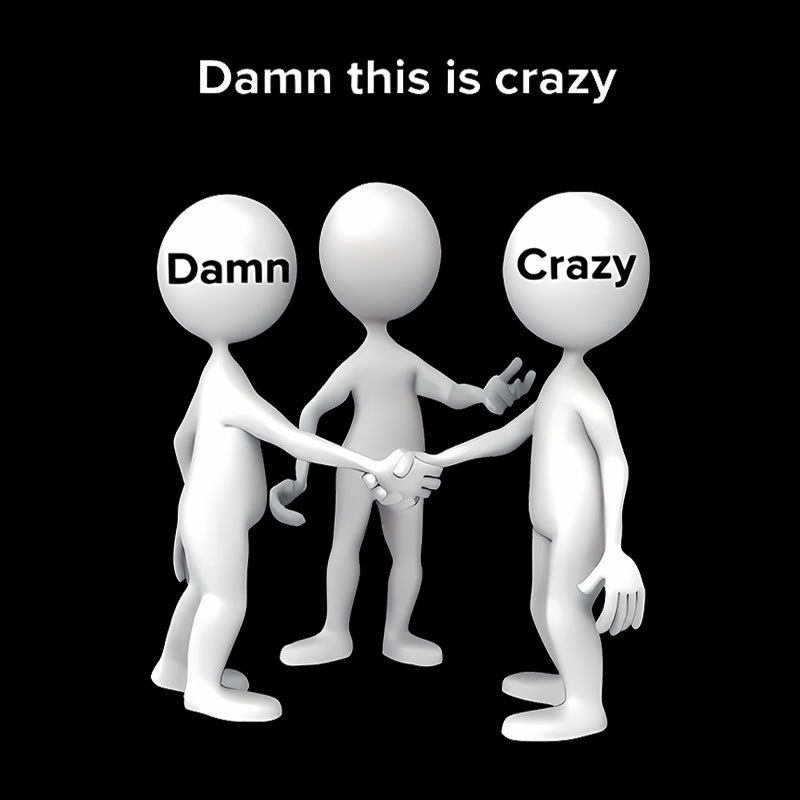 Damn This Is Crazy Geek T-Shirt