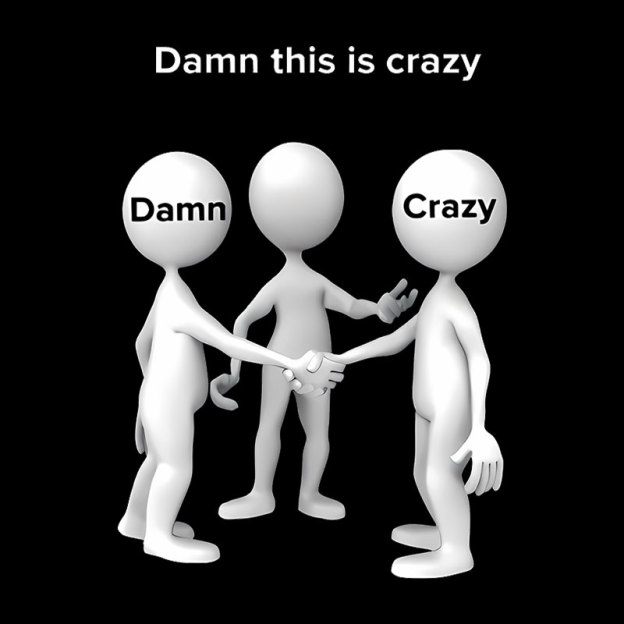 Damn This Is Crazy Geek T-Shirt