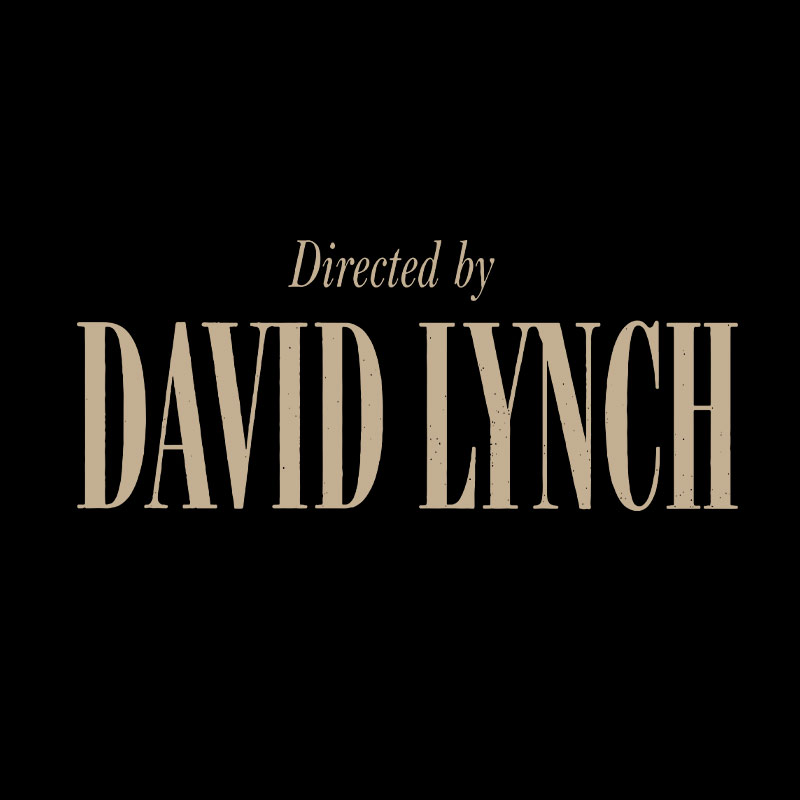 Directed By David Lynch Geek T-Shirt