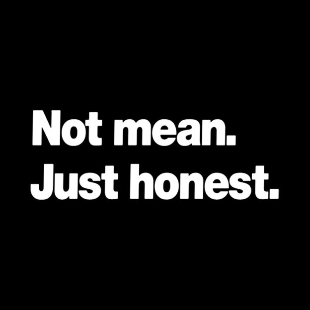 Not Mean Just Honest Geek T-Shirt