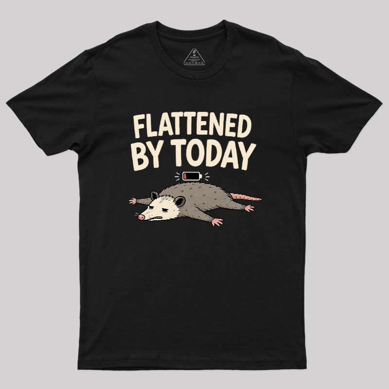 Flattened By Today Geek T-Shirt