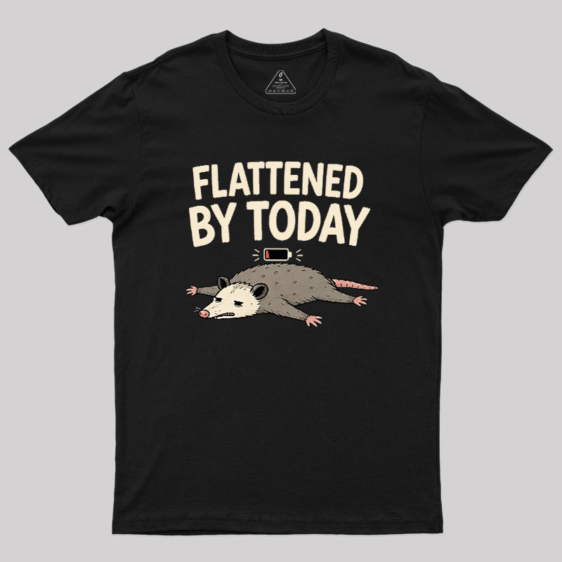 Flattened By Today Geek T-Shirt