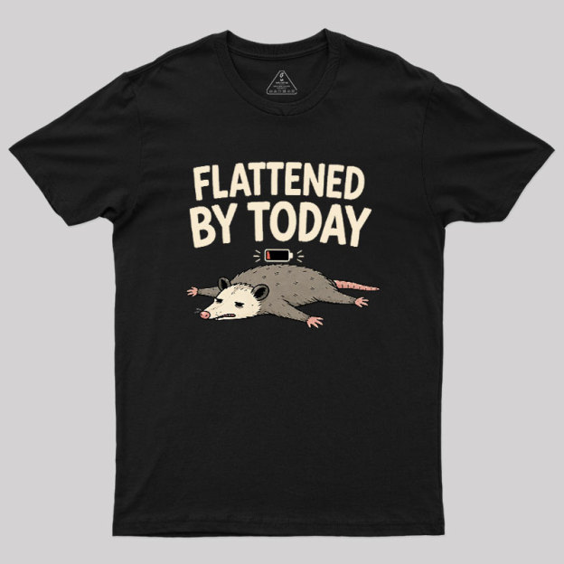 Flattened By Today Geek T-Shirt