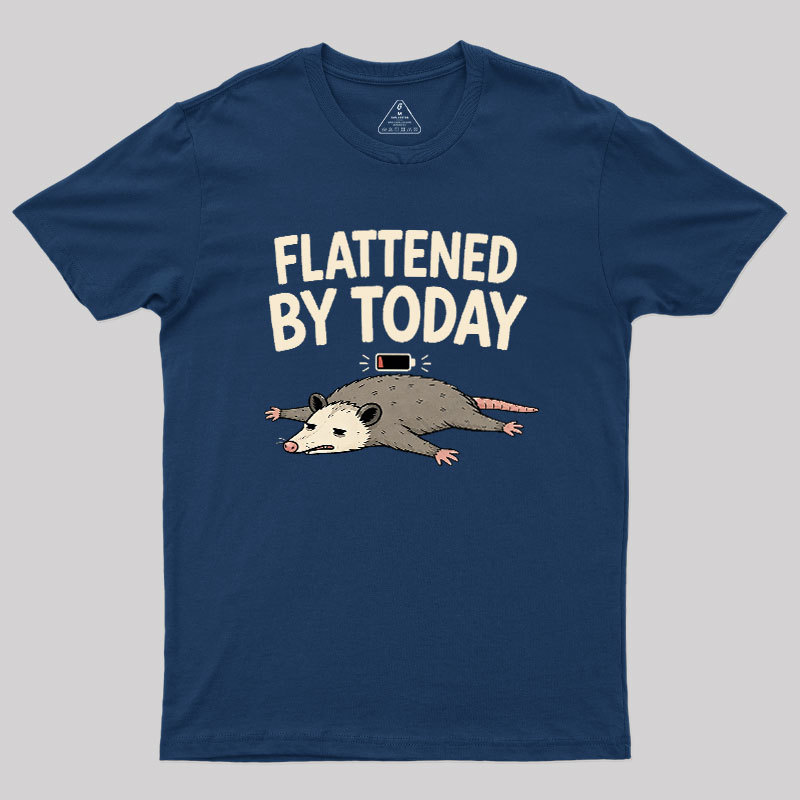 Flattened By Today Geek T-Shirt