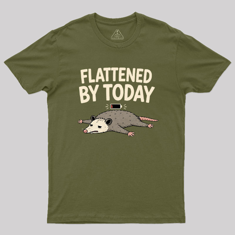 Flattened By Today Geek T-Shirt