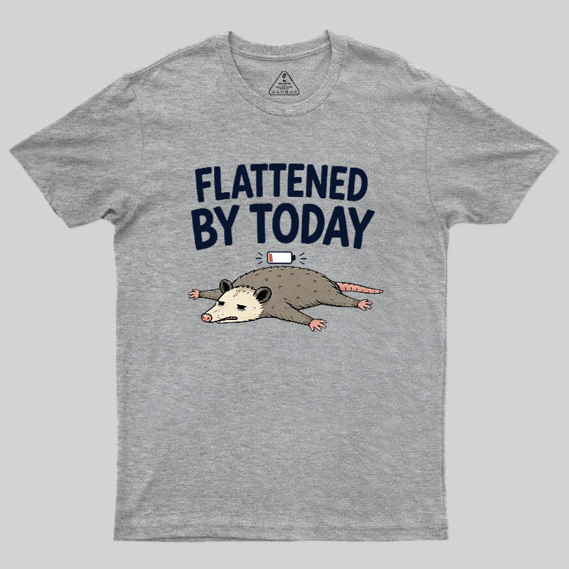 Flattened By Today Geek T-Shirt