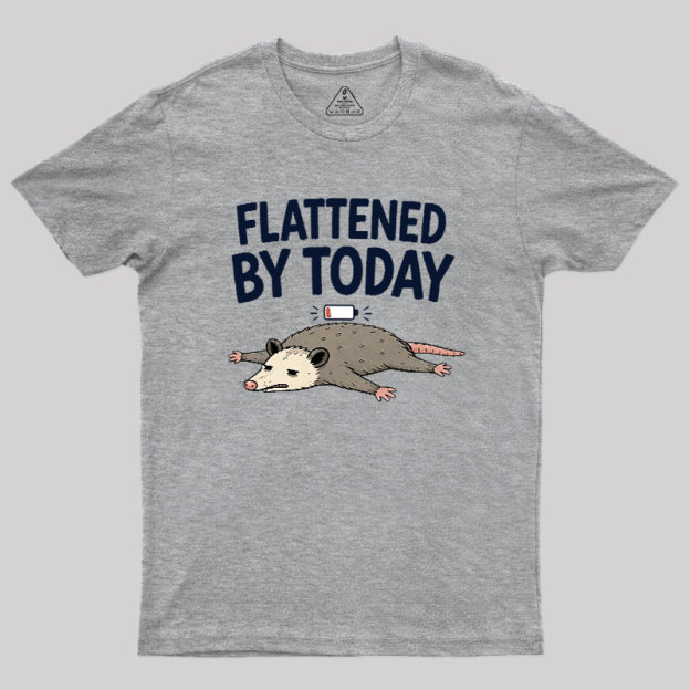 Flattened By Today Geek T-Shirt