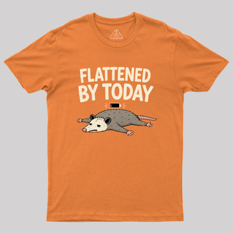 Flattened By Today Geek T-Shirt