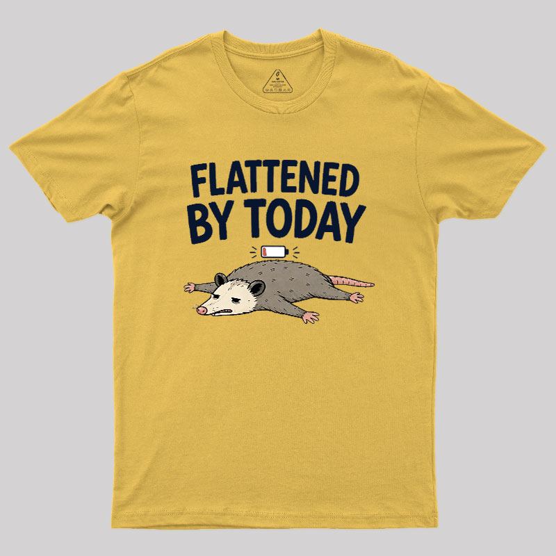 Flattened By Today Geek T-Shirt