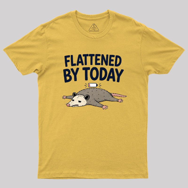 Flattened By Today Geek T-Shirt