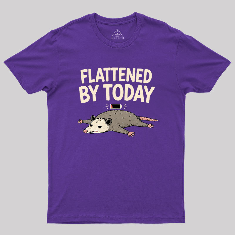 Flattened By Today Geek T-Shirt