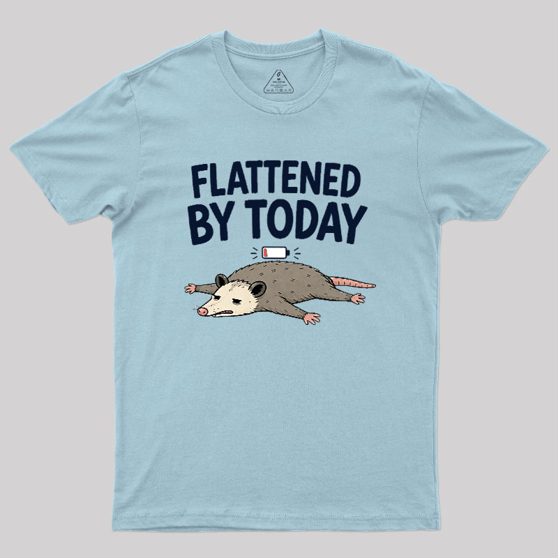 Flattened By Today Geek T-Shirt