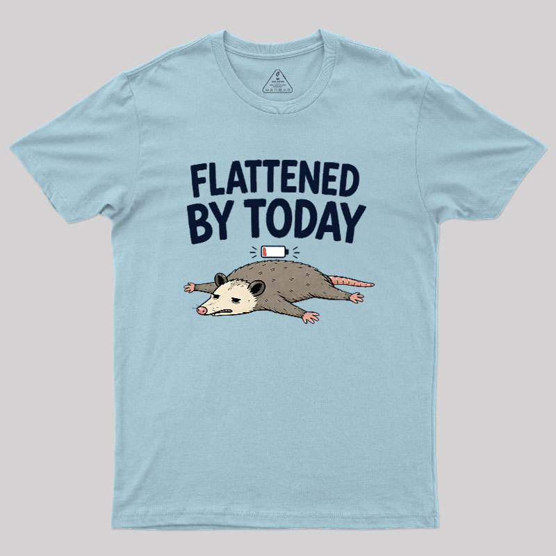 Flattened By Today Geek T-Shirt