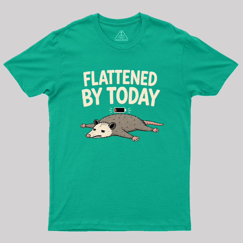Flattened By Today Geek T-Shirt