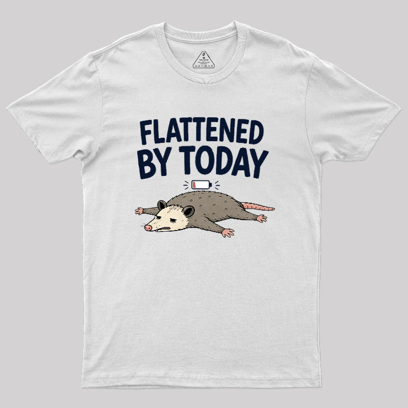 Flattened By Today Geek T-Shirt