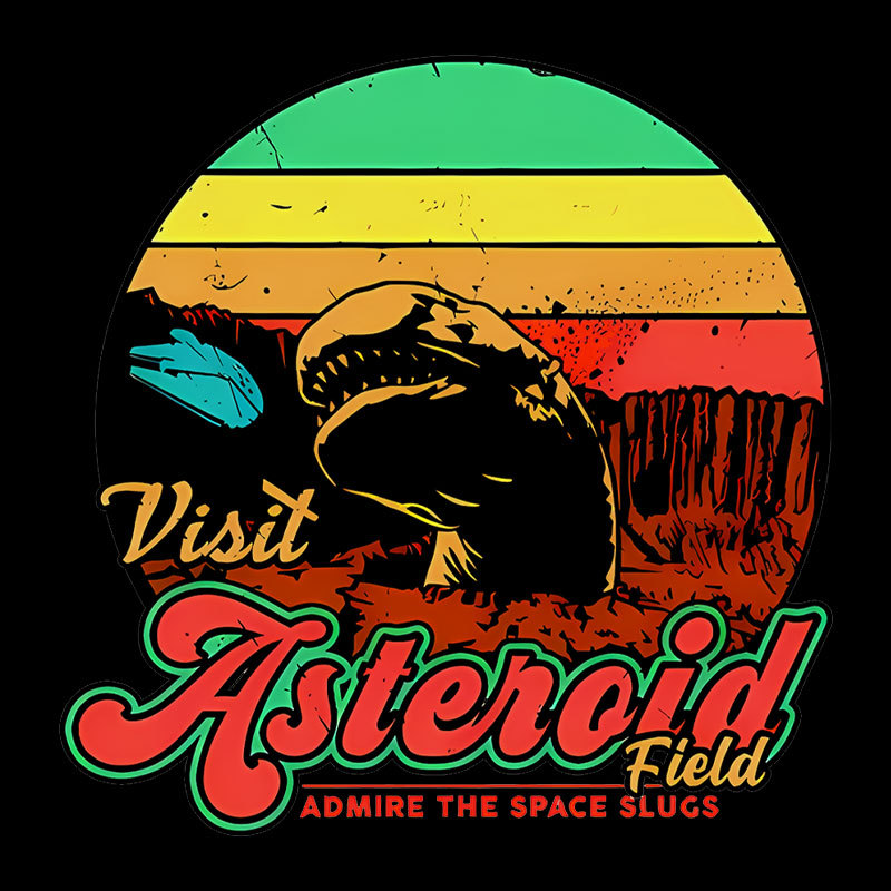 Visit The Asteroid Field Geek T-Shirt