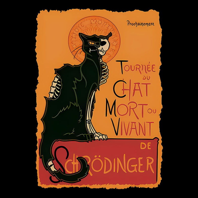 Le Chat Noir De Schr?dinger Geek T-Shirt