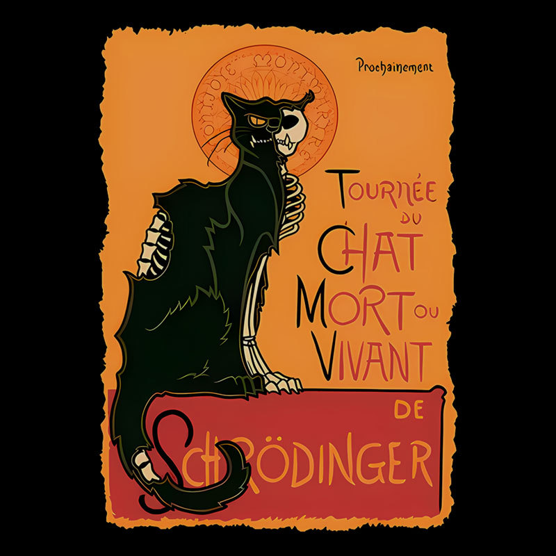 Le Chat Noir De Schr?dinger Geek T-Shirt