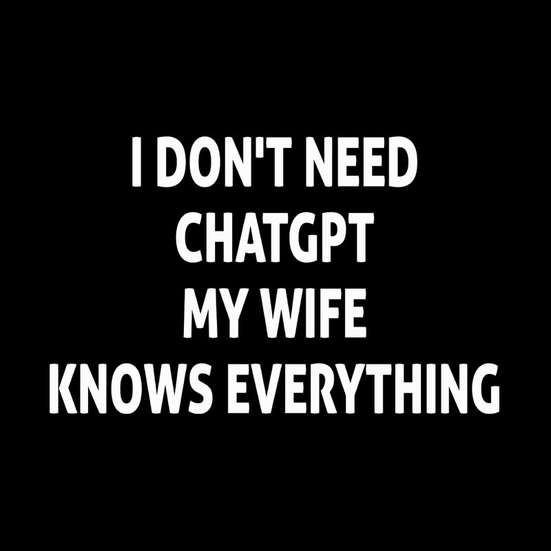 Offline GPT My Wife 1.0 Geek T-Shirt