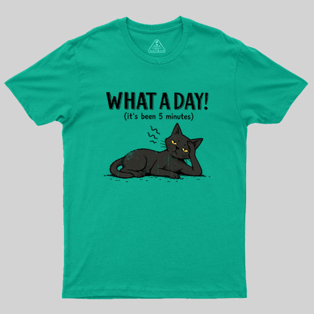 WHAT A DAY! Geek T-Shirt