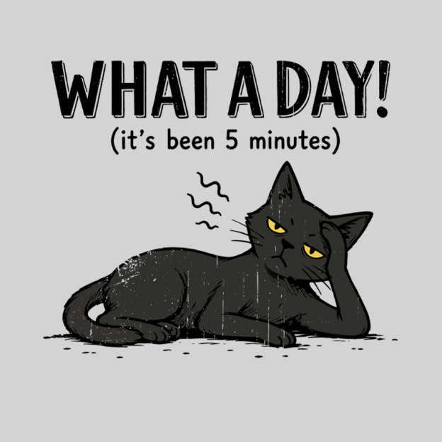 WHAT A DAY! Geek T-Shirt
