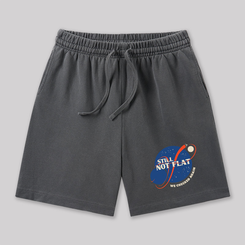 Still Not Flat Geeky Washed Shorts