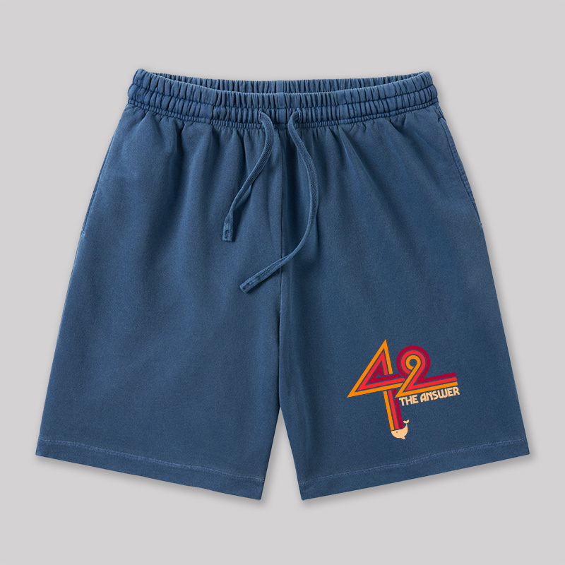 42 The Ultimate Answer Geeky Washed Shorts