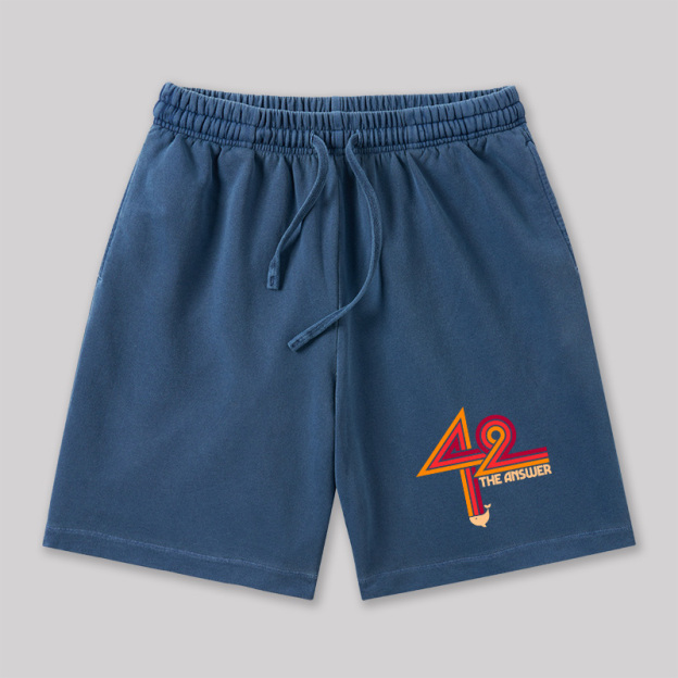 42 The Ultimate Answer Geeky Washed Shorts