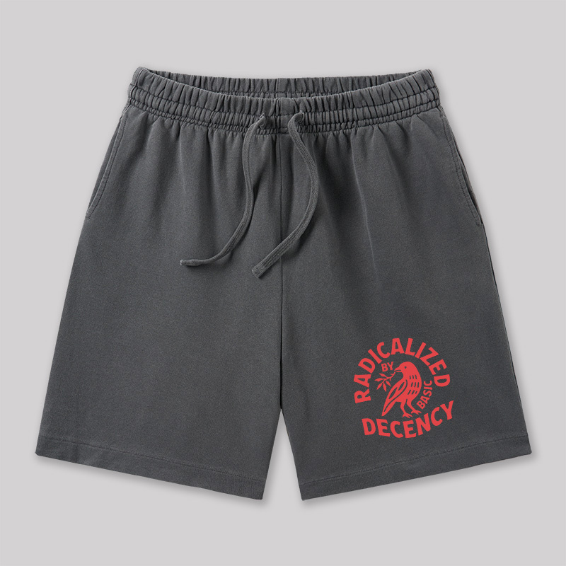 Radicalized By Basic Decency Geeky Washed Shorts