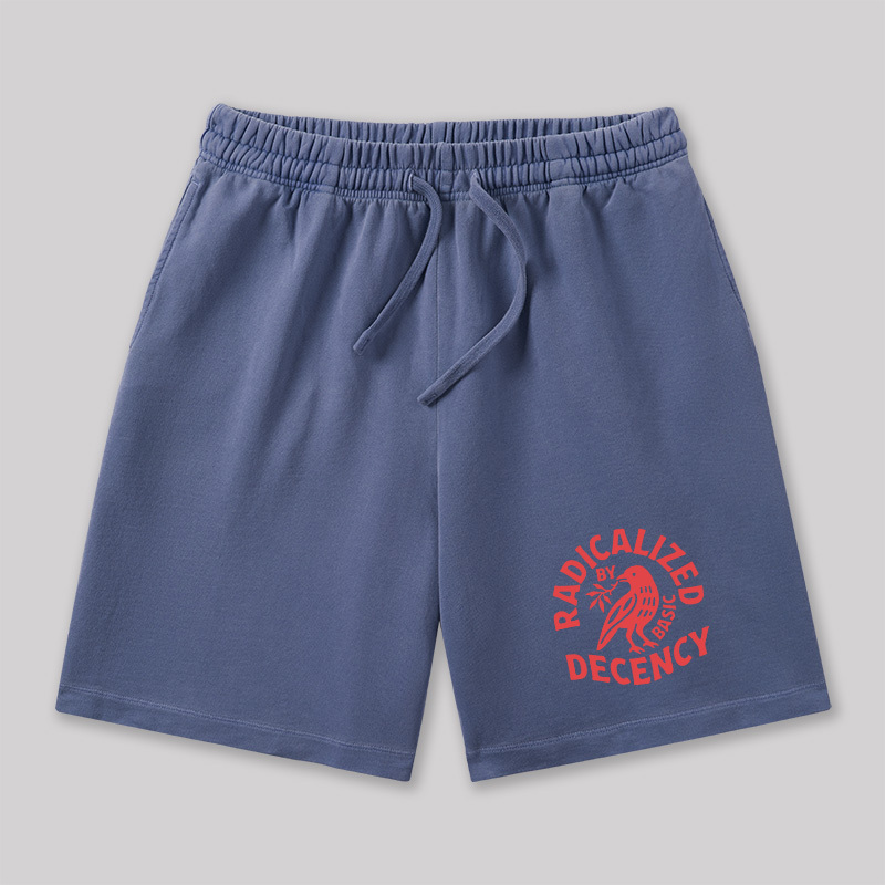 Radicalized By Basic Decency Geeky Washed Shorts