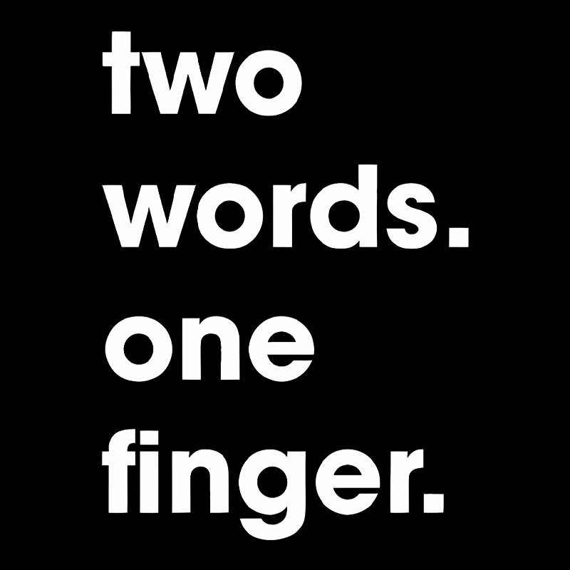Two Words One Finger Geek T-Shirt