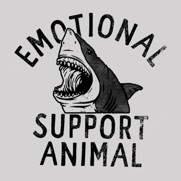 Emotional Support Geek T-Shirt