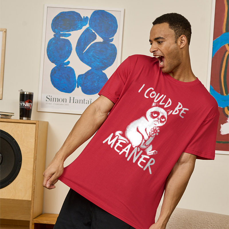 I Could Be Meaner Geek T-Shirt