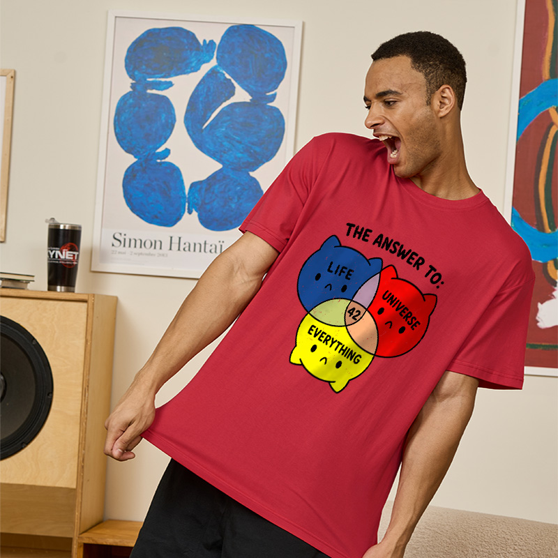 The Answer To Everything 42 Geek T-Shirt