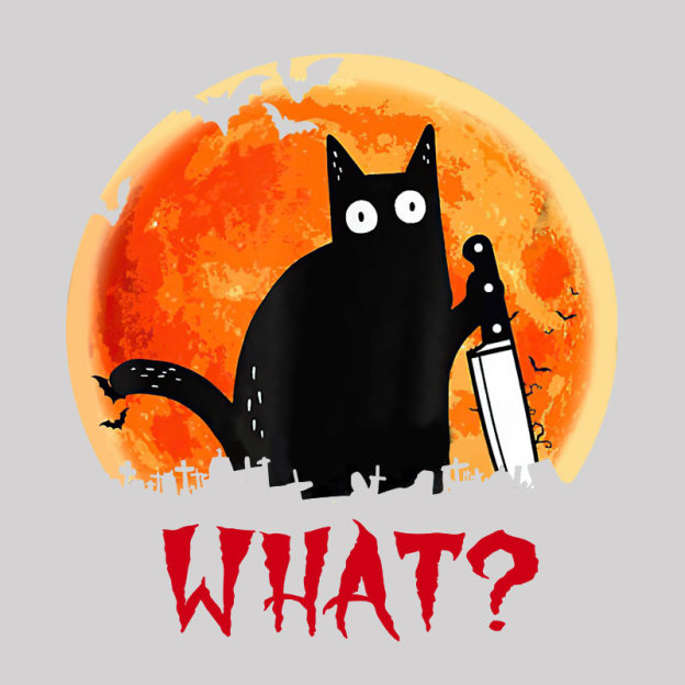 Cat What Funny Geek T-Shirt