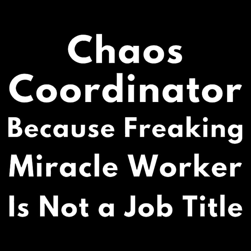 Chaos Coordinator Geek T-Shirt