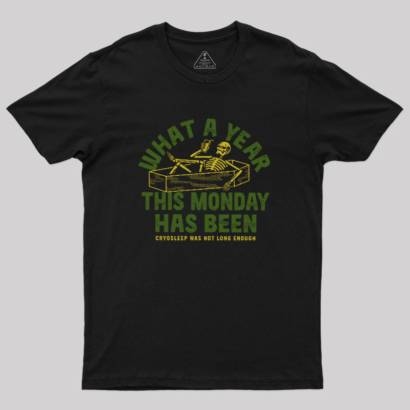 What A Year This Monday Has Been Geek T-Shirt