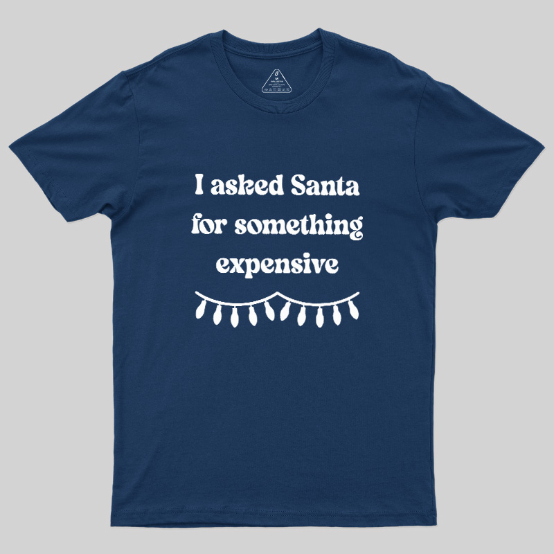 I Asked Santa For Something Expensive Geek T-Shirt