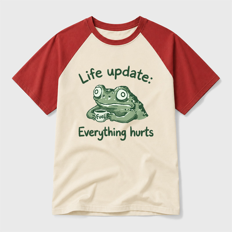 EVERYTHING HURTS Geek Retro Raglan T-Shirt
