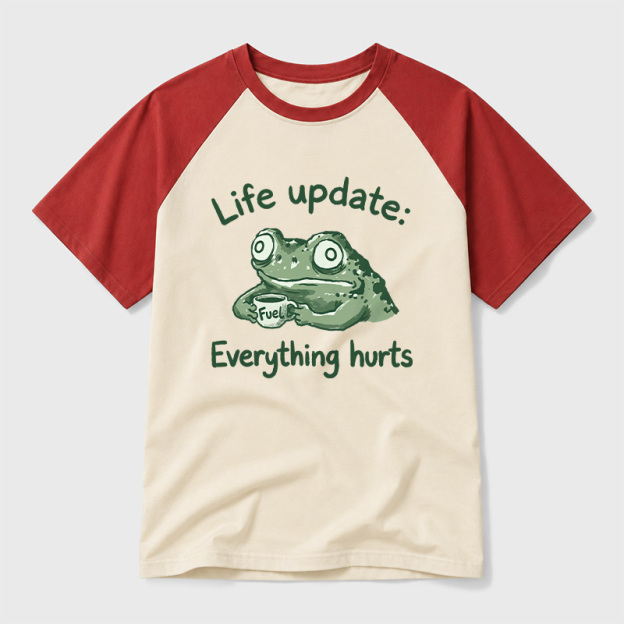 EVERYTHING HURTS Geek Retro Raglan T-Shirt