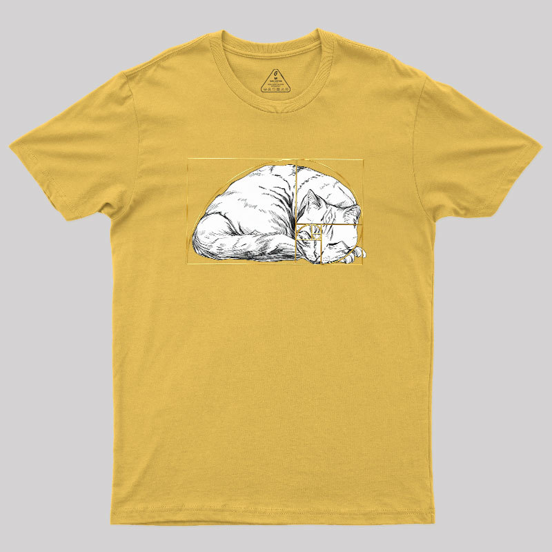 Perfect Ratio Geek T-Shirt