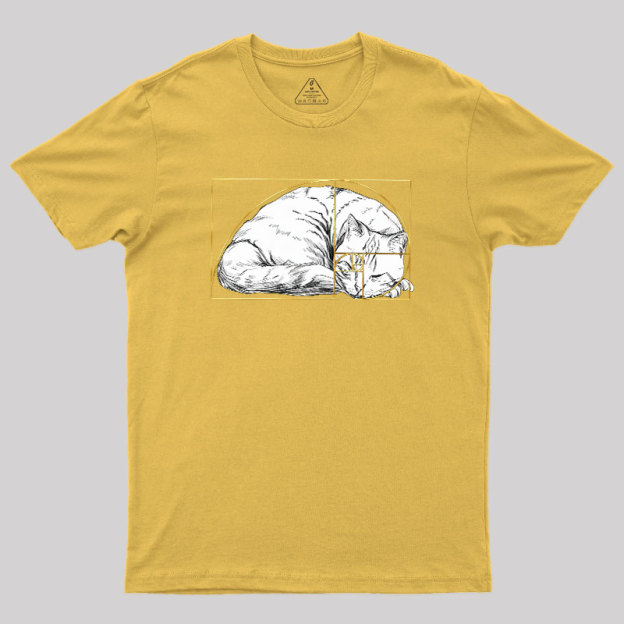 Perfect Ratio Geek T-Shirt