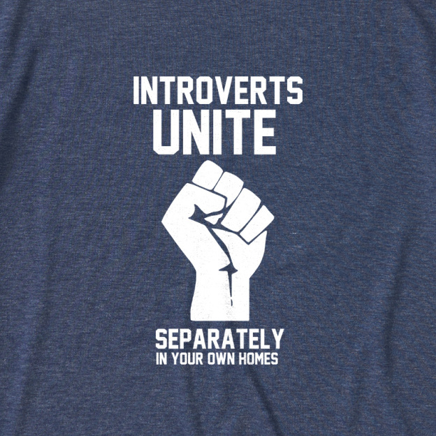Introverts Unite Ultra Soft Heather Tee